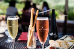 丹麦世界杯未晋级的背后,实力与运气的双重考验丹麦未进世界杯