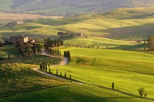 丹麦世界杯未晋级的背后，实力与运气的双重考验丹麦未进世界杯